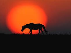 Riverbank Prairie ranch